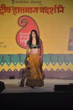 at Handloom fashion show by NIFD in Bandra, Mumbai on 27th Feb 2012 (12).JPG